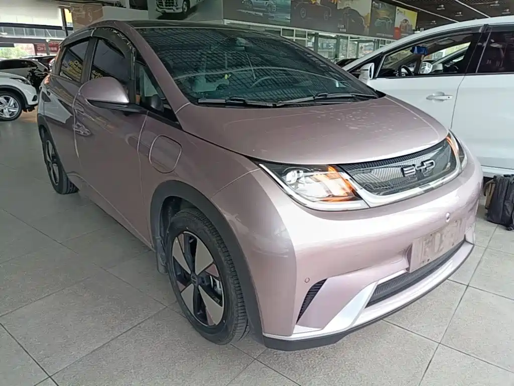 Dolphin 2023 420km Fashion Edition купить на сайте DeffCars