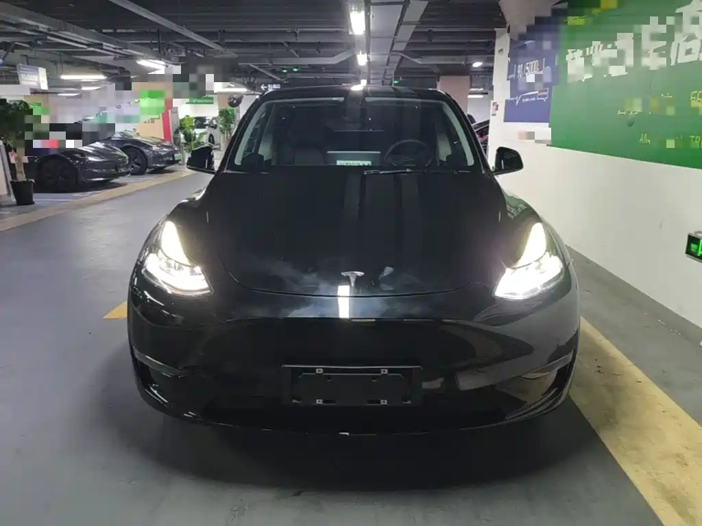 Model Y 2021 standard range rear-wheel drive version купить на сайте DeffCars