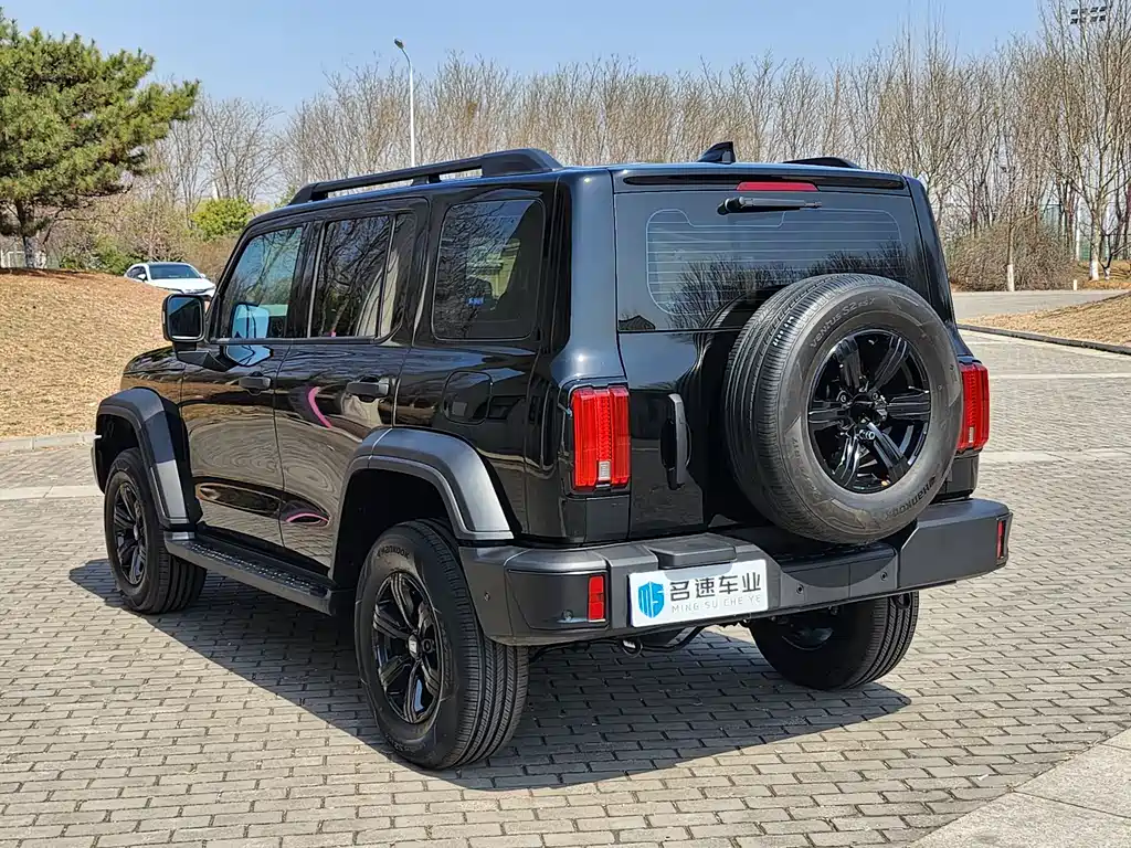 Tank 300 2025 2.0T Gasoline Conqueror купить на сайте DeffCars