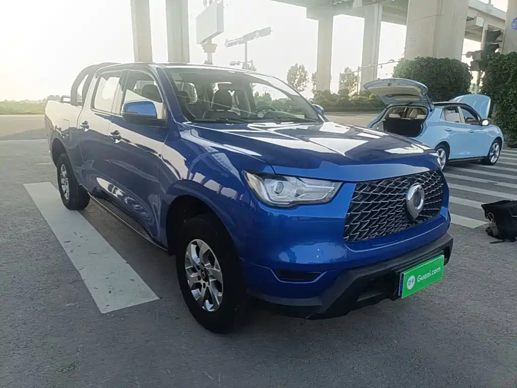 Cannon 2021 2.0T commercial version manual diesel two-wheel drive elite long box GW4D20M купить на сайте DeffCars