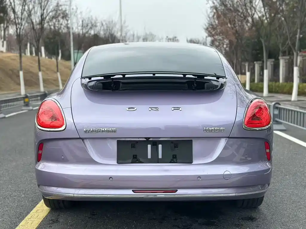 Euler Lightning Cat 2022 600km four-wheel drive high-performance version купить на сайте DeffCars