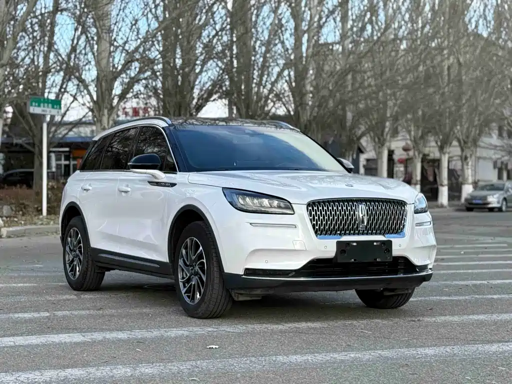 Adventurer 2021 2.0T Two-wheel drive Premium Edition купить на сайте DeffCars