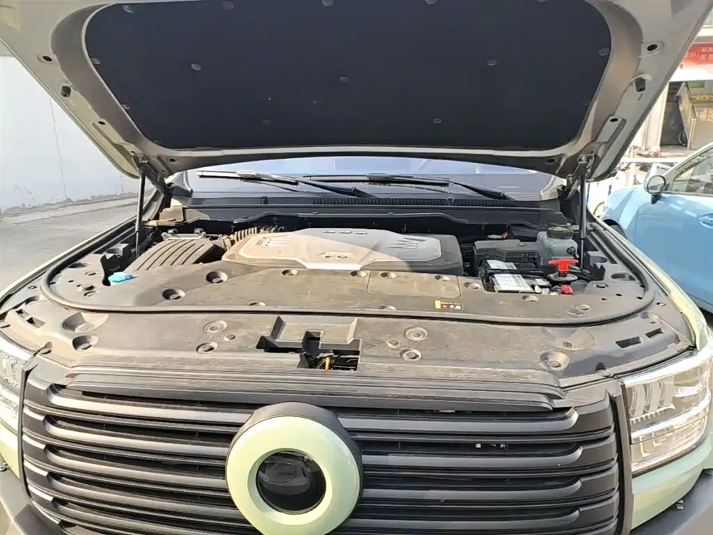 Shanhaipao 2023 3.0T V6 gasoline extreme traction version купить на сайте DeffCars