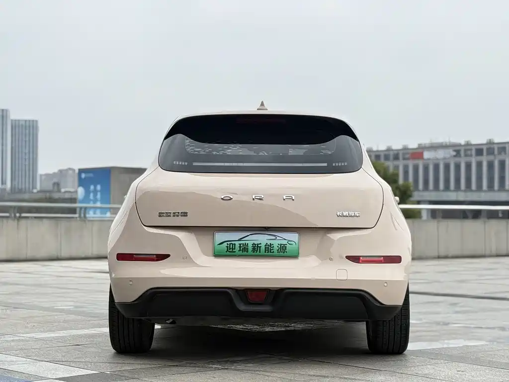 Euler Good Cat 2021 Model 400km Standard Range Venus Edition Lithium Iron Phosphate купить на сайте DeffCars