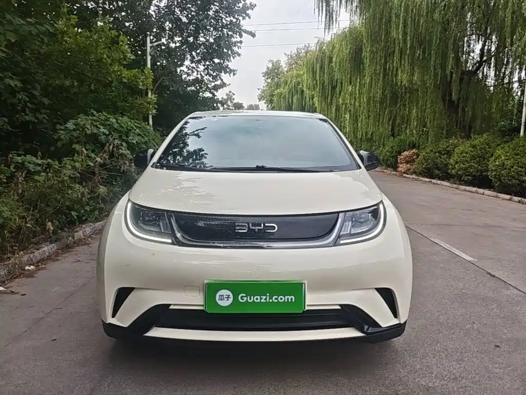 Dolphin 2025 420km active version купить на сайте DeffCars