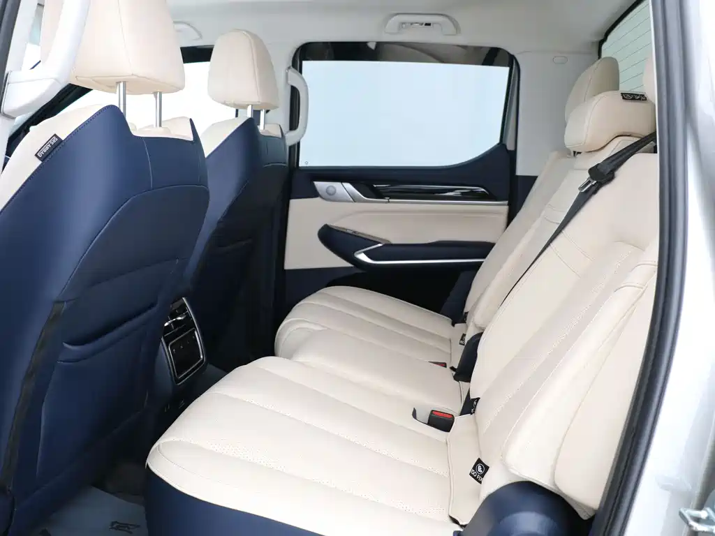 Shanhaipao 2023 2.4T diesel extreme towing version купить на сайте DeffCars