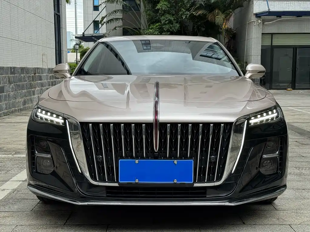 Hongqi H5 2023 2.0T Automatic Zhilianqichang Edition купить на сайте DeffCars
