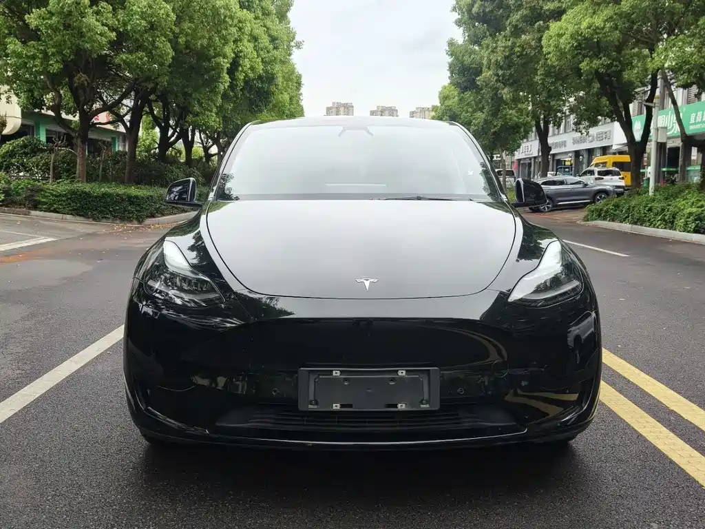 Model Y 2022 rear-wheel drive version купить на сайте DeffCars