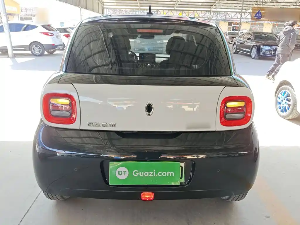 Euler Black Cat 2021 301km Cute Pet Edition купить на сайте DeffCars