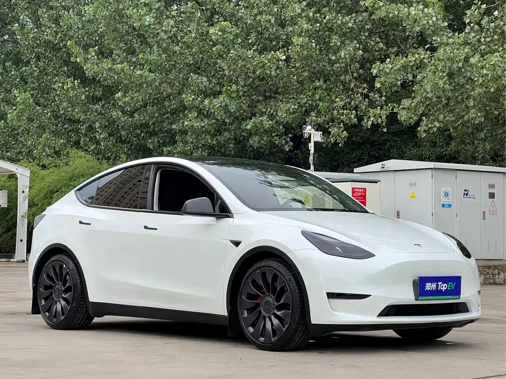 Model Y 2022 Performance High All-Wheel Drive Edition купить на сайте DeffCars