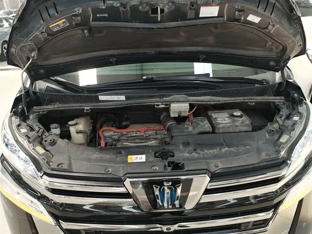 Wilfa 2020 Shuangqing 2.5L HV Premium Edition купить на сайте DeffCars