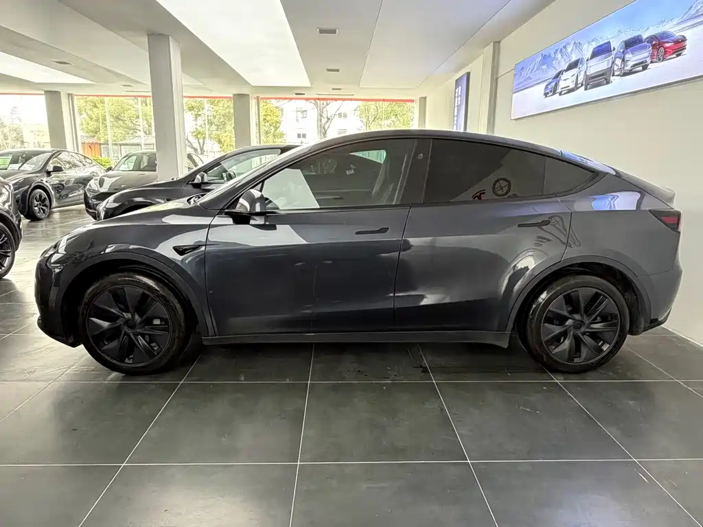 Model Y 2024 rear-wheel drive version купить на сайте DeffCars