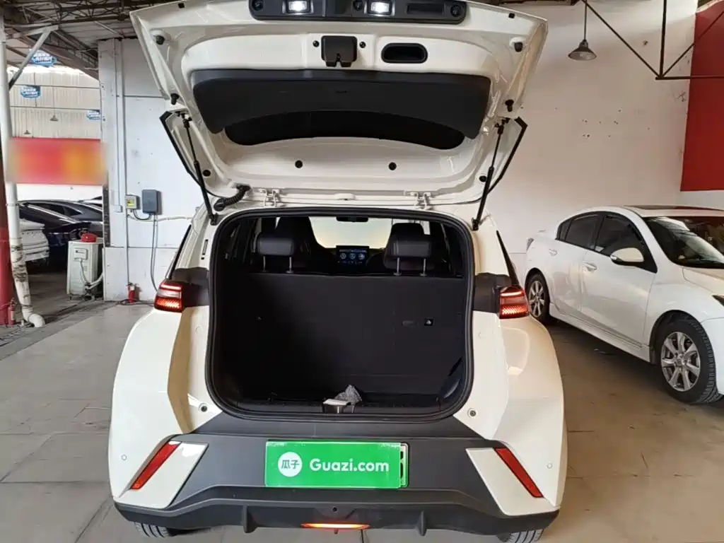 Seagull 2025 305km active version купить на сайте DeffCars