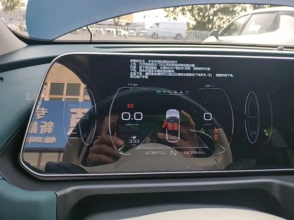 Euler Good Cat 2021 model 400km standard battery life Venus version ternary lithium купить на сайте DeffCars