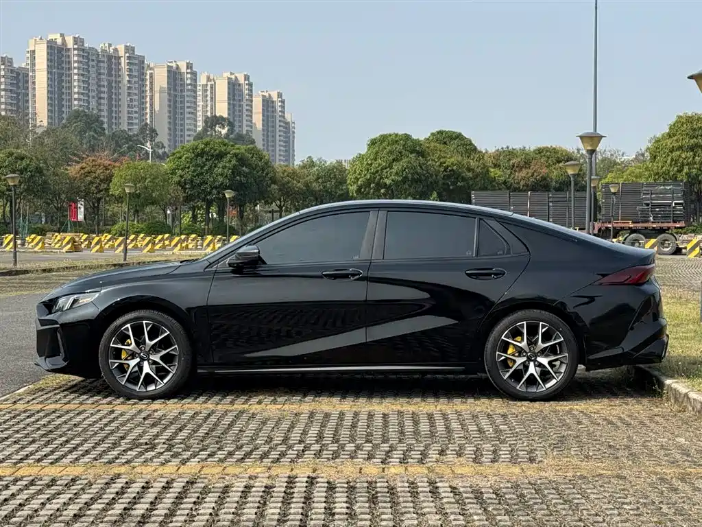 Shadow Leopard 2021 270T DCT J15 version купить на сайте DeffCars