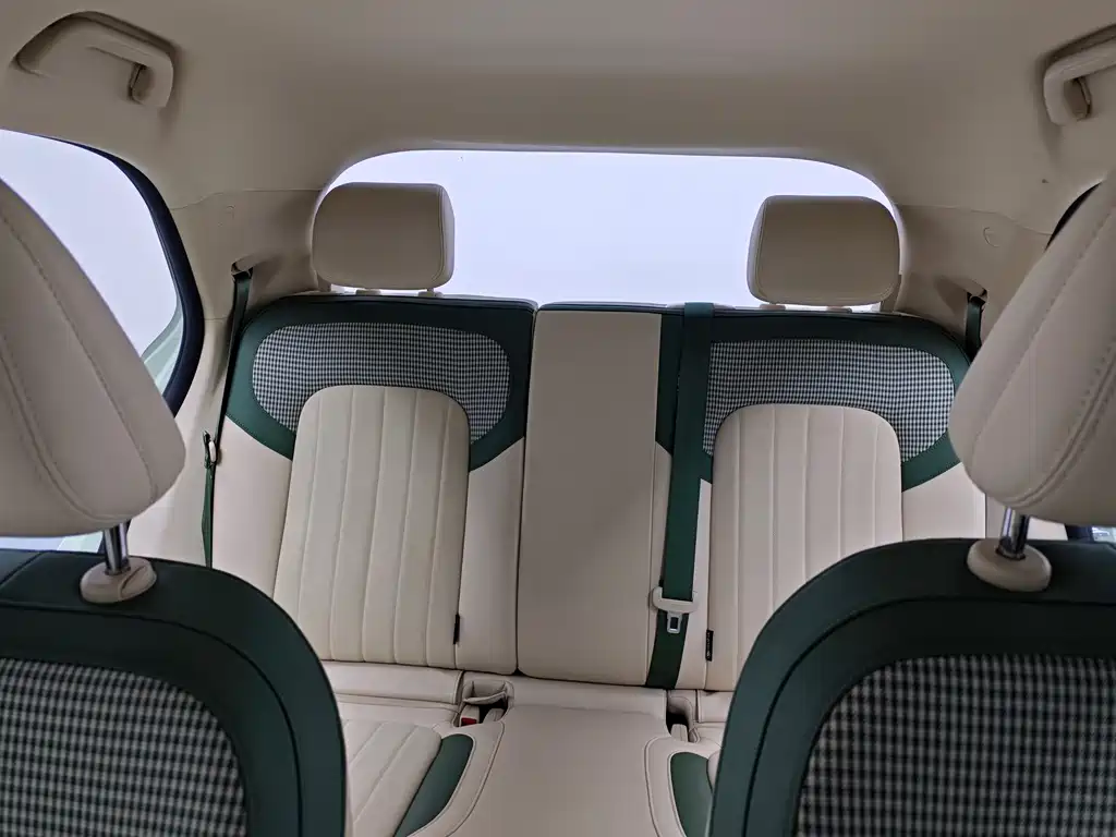 Euler Good Cat 2023 model 401km standard battery life luxury model lithium iron phosphate купить на сайте DeffCars