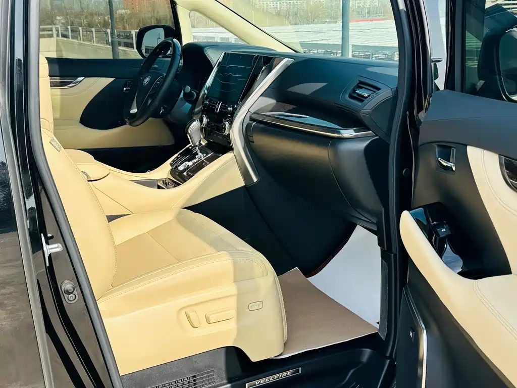 Wilfa 2020 Shuangqing 2.5L Black Gold Limited Edition купить на сайте DeffCars