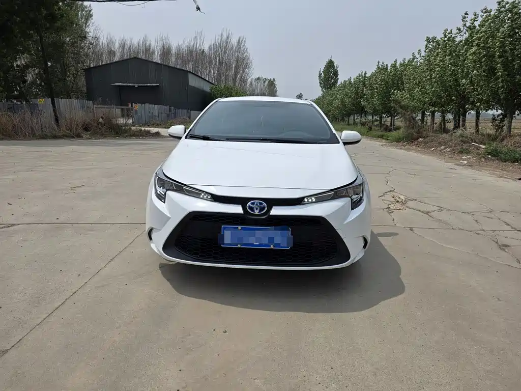 Ralink 2022 Dual Engine 1.8H E-CVT Advanced Edition купить на сайте DeffCars