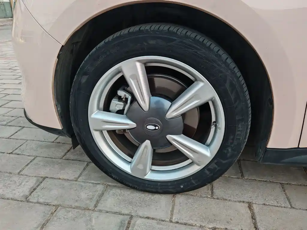 Euler Good Cat 2022 model 400km standard battery life premium type ternary lithium купить на сайте DeffCars