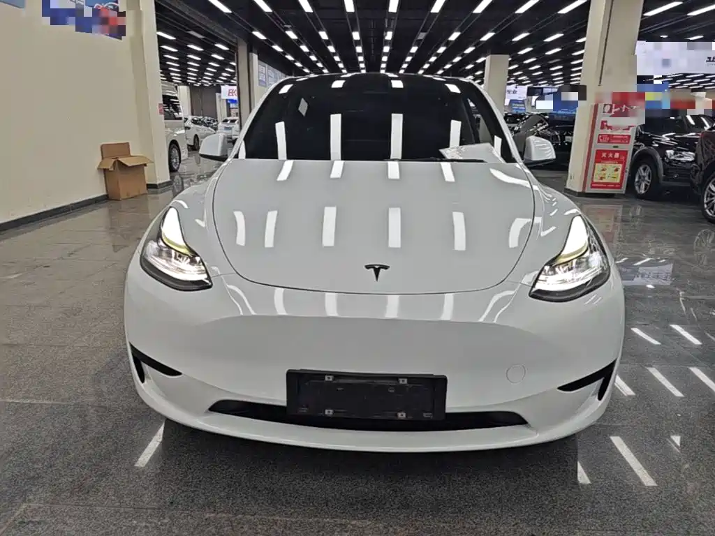 Model Y 2022 rear-wheel drive version купить на сайте DeffCars