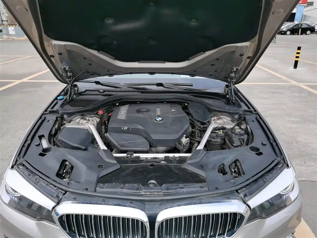 BMW 5 Series 2019 525Li Luxury Package купить на сайте DeffCars