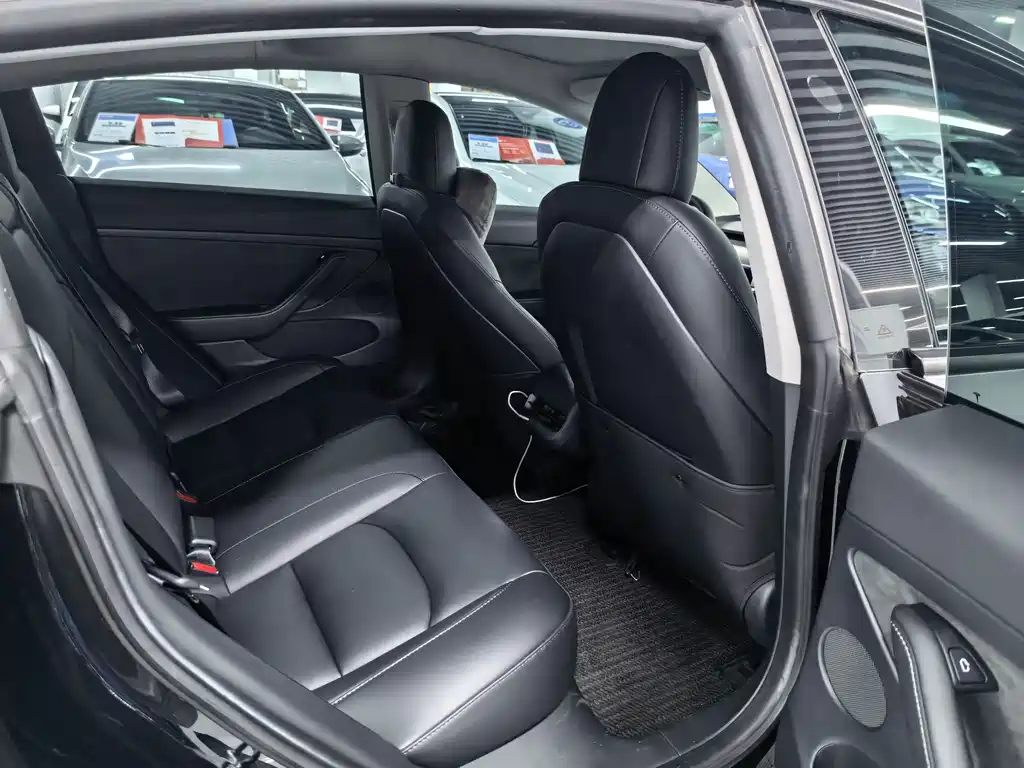 Model 3 2022 rear-wheel drive version купить на сайте DeffCars