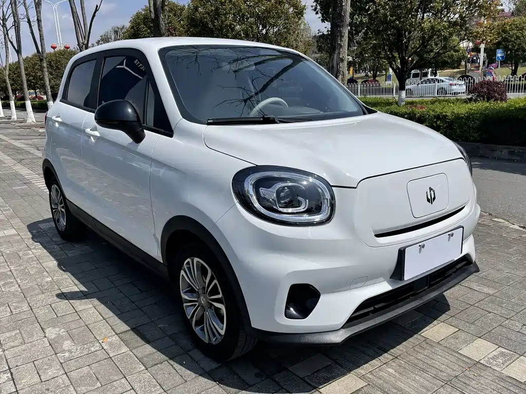 Leapmoo T03 2024 310 Comfort Edition купить на сайте DeffCars