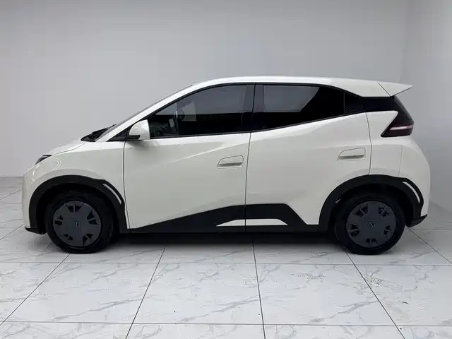 Seagull 2025 305km active version купить на сайте DeffCars