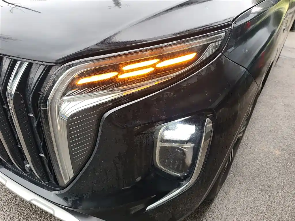Hongqi HS7 2024 2.0T automatic two-wheel drive Qiyue version, five seats купить на сайте DeffCars