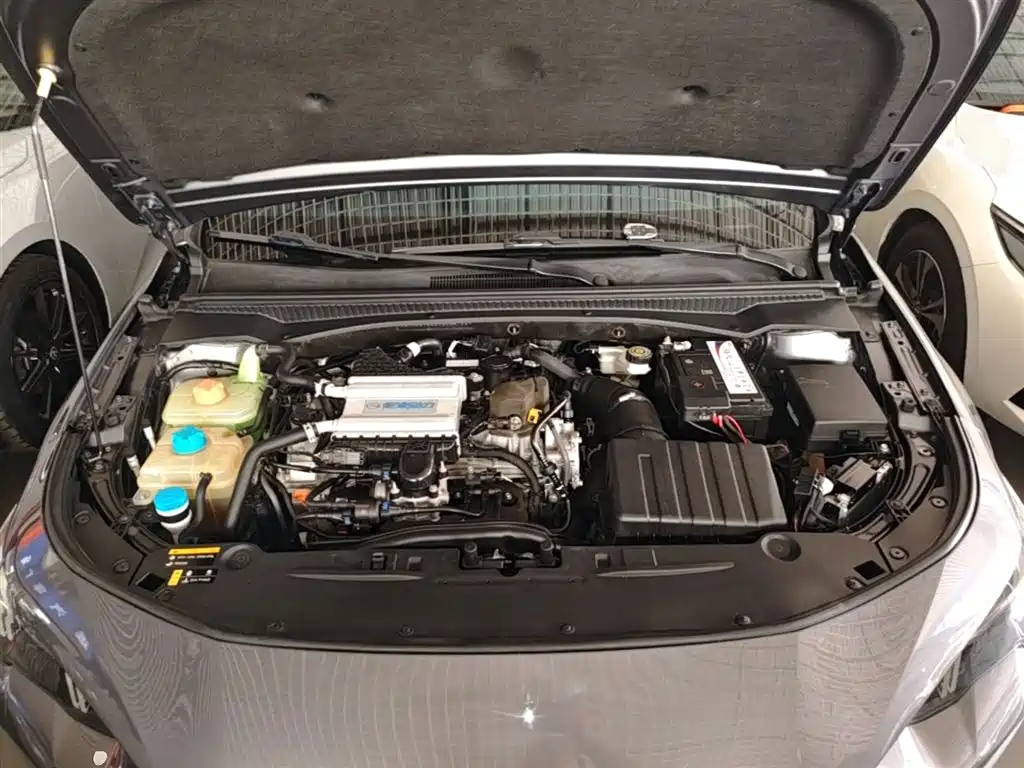 Shadow Leopard 2021 270T DCT J11 version купить на сайте DeffCars