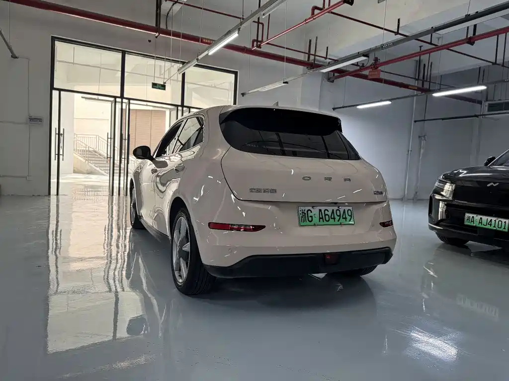 Euler Good Cat 2021 model 400km standard battery life Venus version ternary lithium купить на сайте DeffCars