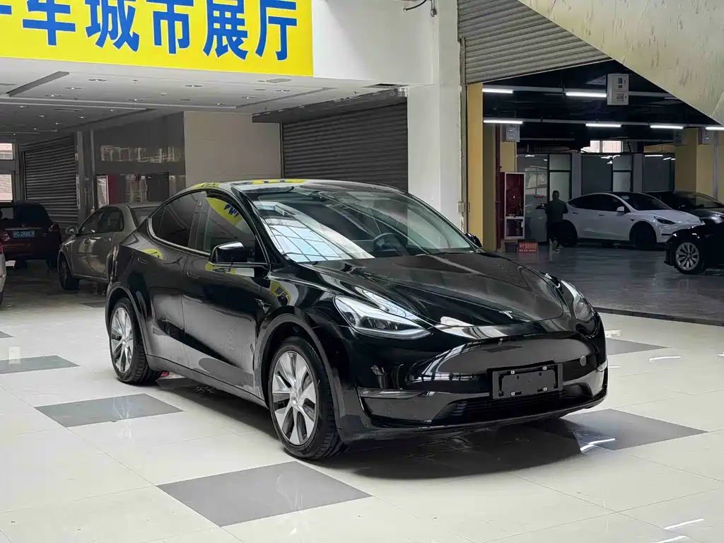 Model Y 2021 standard range rear-wheel drive version купить на сайте DeffCars