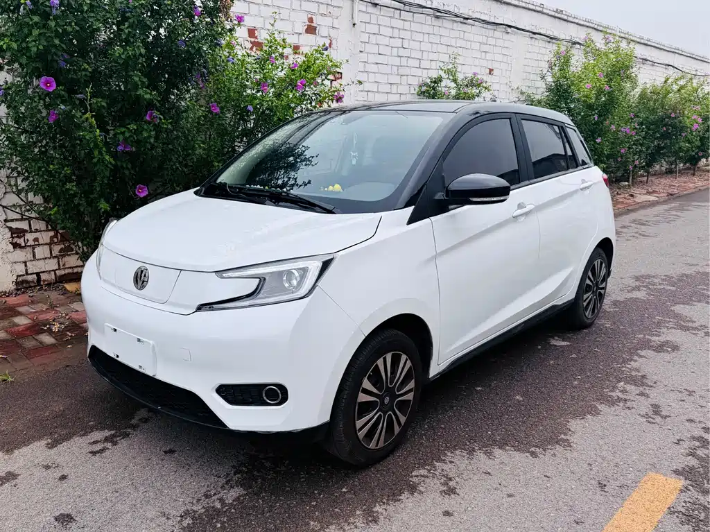 Young Guangxiaoxin 2023 302km Pearl Edition купить на сайте DeffCars