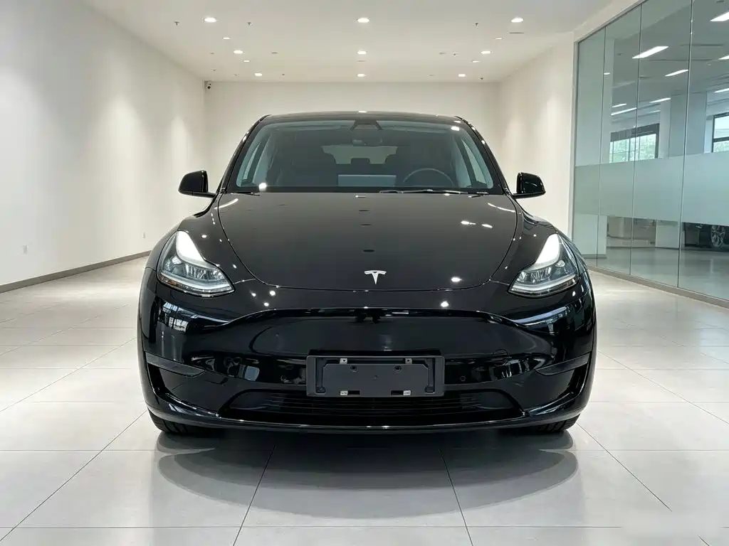 Model Y 2021 Standard Range Rear Drive Edition купить на сайте DeffCars