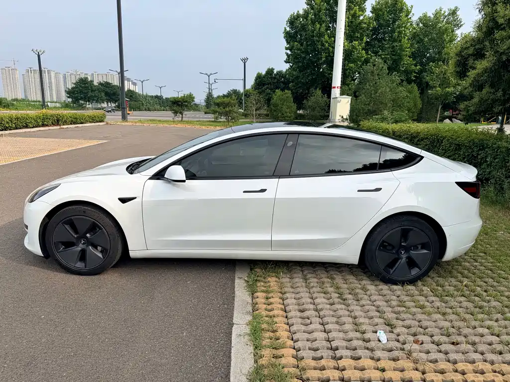 Model 3 2021 modified standard battery life rear drive upgrade version 3D1 купить на сайте DeffCars