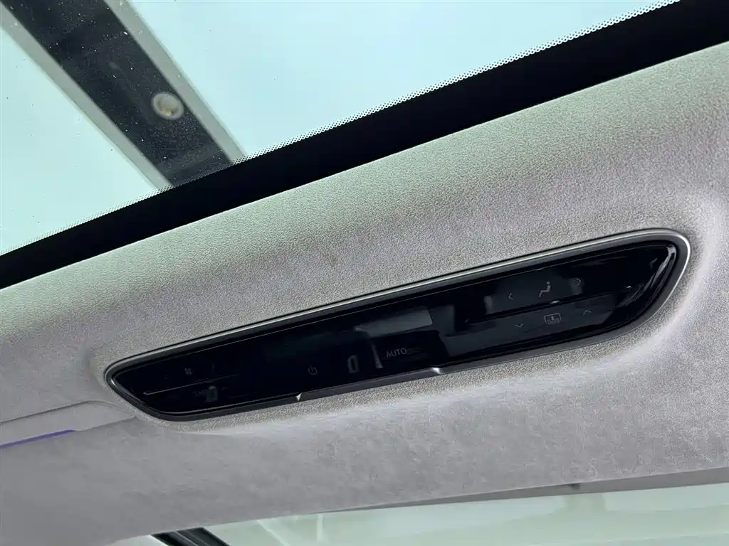 Century 2023 2.0T Six-seater Yuanshi Edition купить на сайте DeffCars