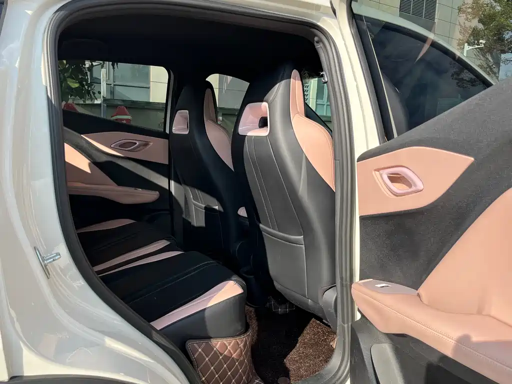 Seagull 2025 model 305km free version купить на сайте DeffCars