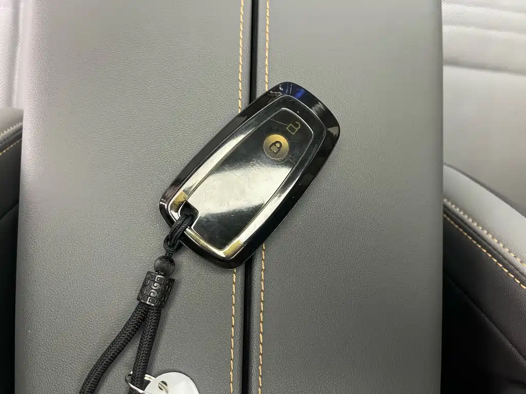 Ruijie 2023 Ruijie L 2.0T EcoBoost four-wheel drive seven-seat supreme model купить на сайте DeffCars