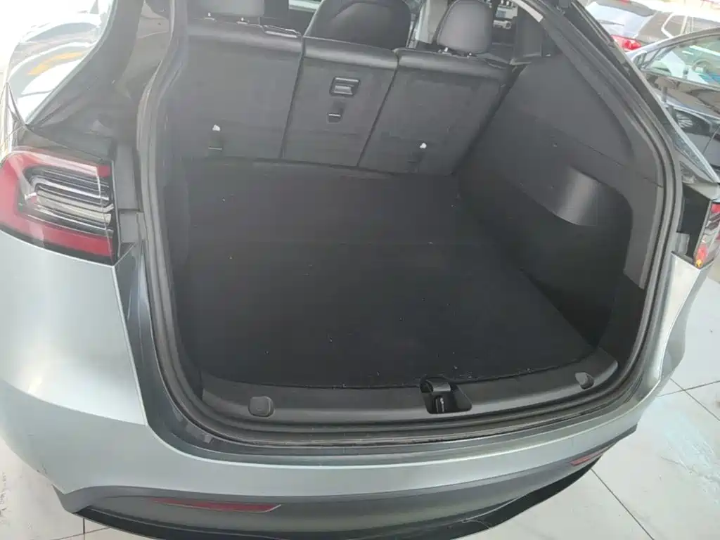 Model Y 2024 rear-wheel drive version купить на сайте DeffCars