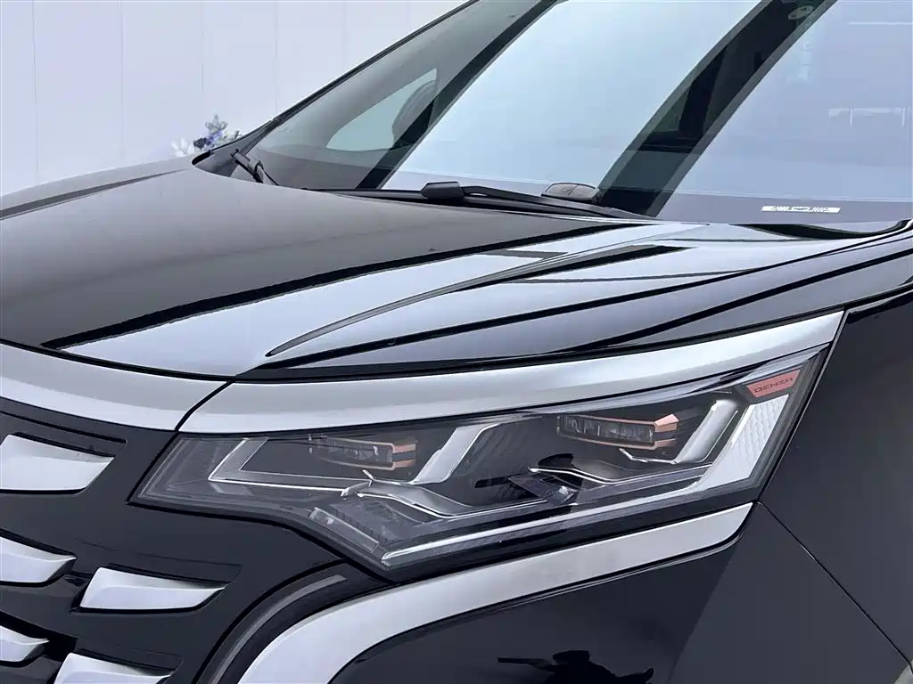 Denza D9 2024 DM-i 1050 Exclusive Type купить на сайте DeffCars