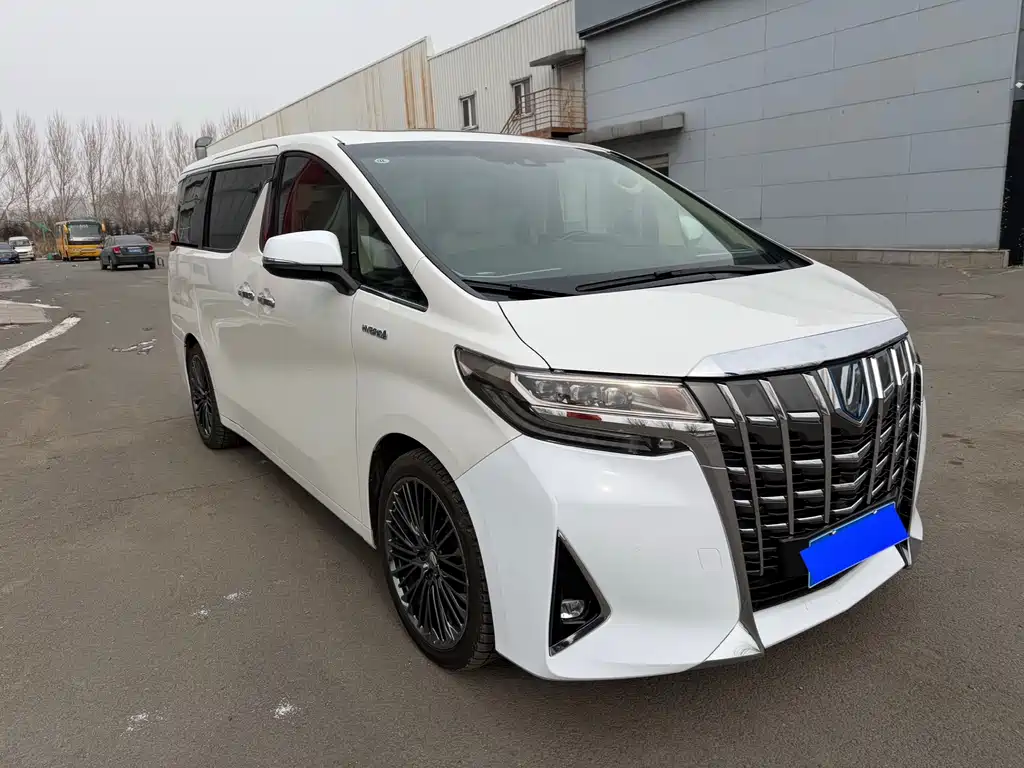 Alfa 2020 Shuangqing 2.5L Premium Edition купить на сайте DeffCars