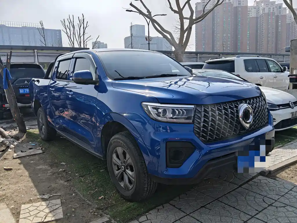 Cannon 2023 2.0T commercial version automatic gasoline four-wheel drive elite standard box GW4C20B купить на сайте DeffCars