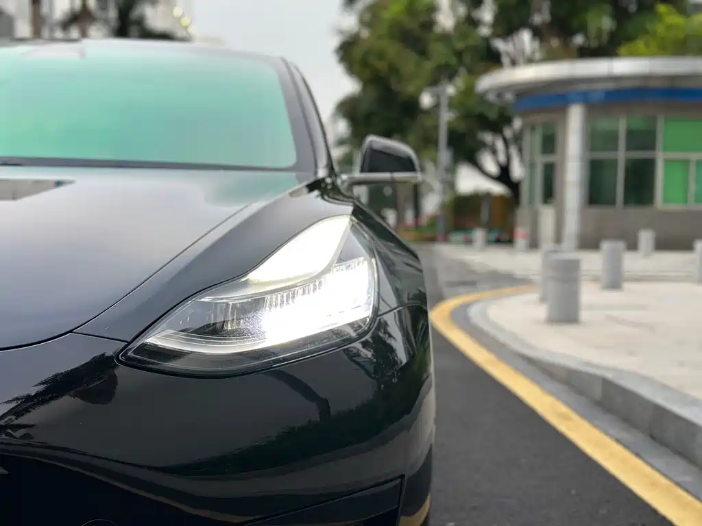Model 3 2020 Standard Range Rear Drive Upgraded Version купить на сайте DeffCars