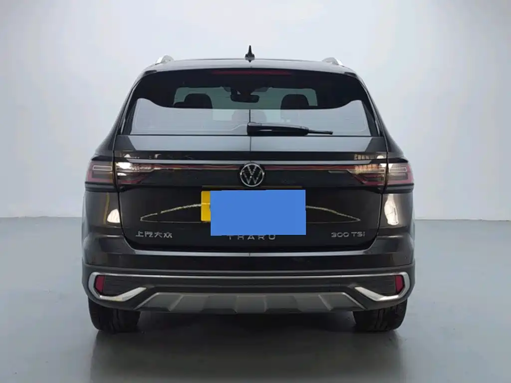 Tuyue 2023 300TSI two-wheel drive full moon version купить на сайте DeffCars