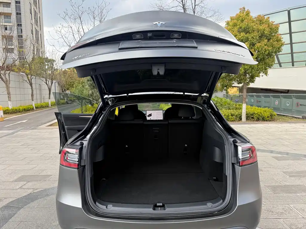 Model Y 2021 standard range rear-wheel drive version купить на сайте DeffCars