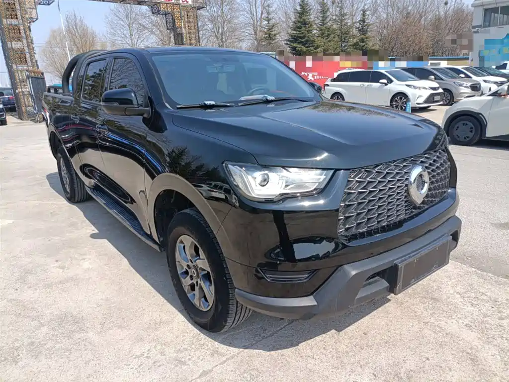 Cannon 2021 2.0T commercial version manual diesel two-wheel drive elite long box GW4D20M купить на сайте DeffCars