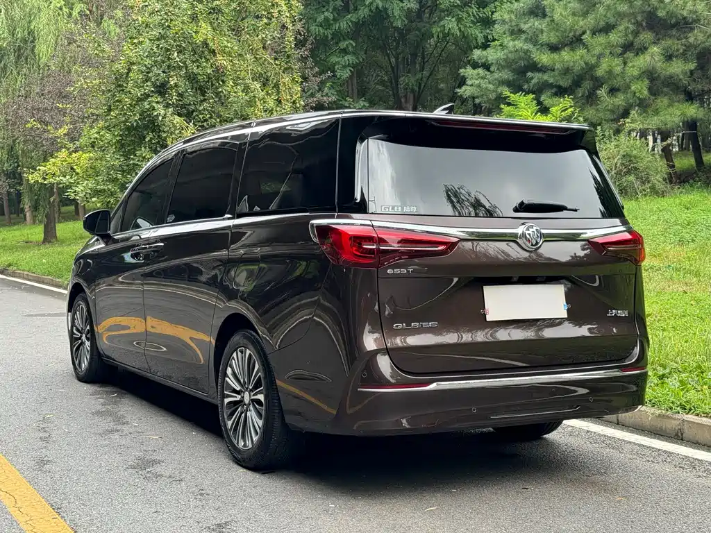 Buick GL8 2020 ES Luzun 653T Luxury Edition купить на сайте DeffCars