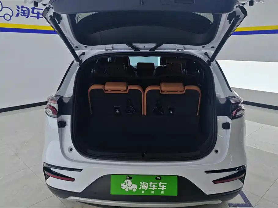 Tangxin Energy 2023 DM-i Champion Edition 112KM Exclusive Type купить на сайте DeffCars