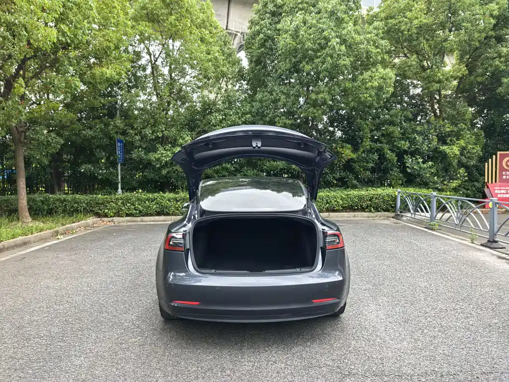 Model 3 2021 facelift standard range rear drive upgraded version 3D1 купить на сайте DeffCars