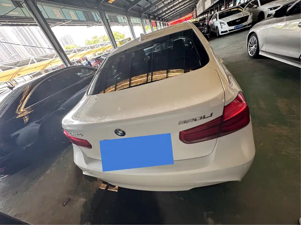 BMW 3 Series 2019 320Li M Luxury Package купить на сайте DeffCars